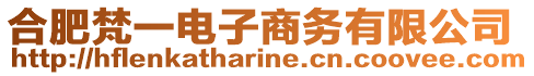 合肥梵一電子商務有限公司