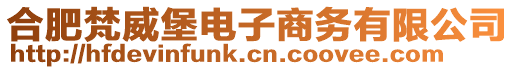 合肥梵威堡電子商務有限公司