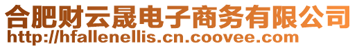 合肥財云晟電子商務有限公司