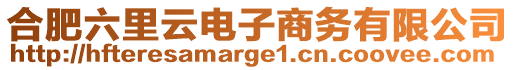 合肥六里云電子商務有限公司