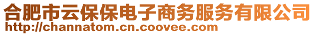 合肥市云保保電子商務服務有限公司