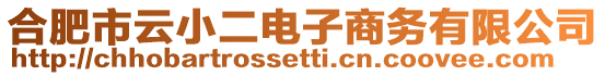 合肥市云小二電子商務有限公司