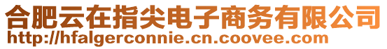 合肥云在指尖電子商務(wù)有限公司