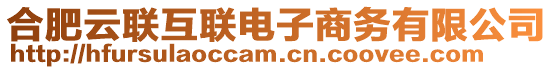 合肥云聯(lián)互聯(lián)電子商務(wù)有限公司