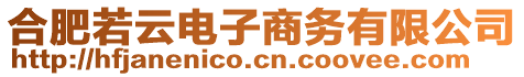 合肥若云電子商務有限公司
