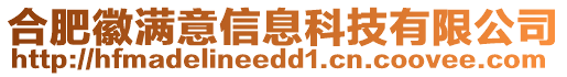 合肥徽滿意信息科技有限公司