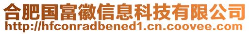 合肥國富徽信息科技有限公司