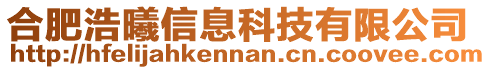 合肥浩曦信息科技有限公司