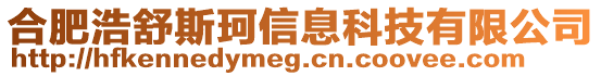 合肥浩舒斯珂信息科技有限公司