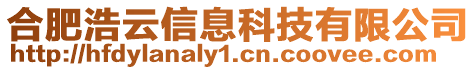 合肥浩云信息科技有限公司