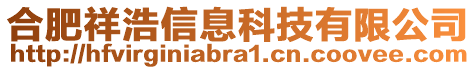 合肥祥浩信息科技有限公司