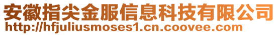 安徽指尖金服信息科技有限公司