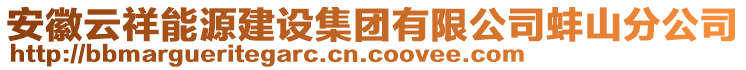 安徽云祥能源建設(shè)集團有限公司蚌山分公司