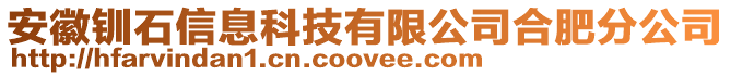 安徽釧石信息科技有限公司合肥分公司