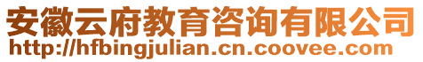 安徽云府教育咨詢有限公司