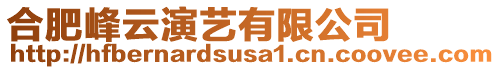 合肥峰云演藝有限公司