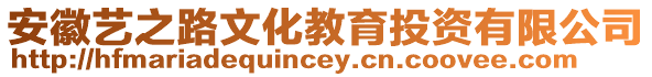 安徽藝之路文化教育投資有限公司