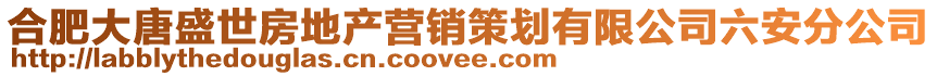 合肥大唐盛世房地產營銷策劃有限公司六安分公司
