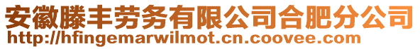 安徽滕豐勞務有限公司合肥分公司