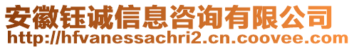 安徽鈺誠信息咨詢有限公司