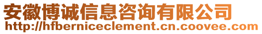 安徽博誠信息咨詢有限公司