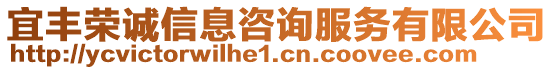 宜豐榮誠(chéng)信息咨詢服務(wù)有限公司