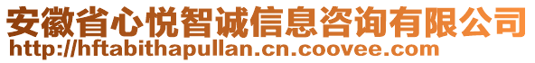 安徽省心悅智誠信息咨詢有限公司