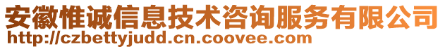 安徽惟誠信息技術咨詢服務有限公司