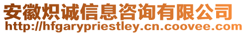 安徽熾誠信息咨詢有限公司