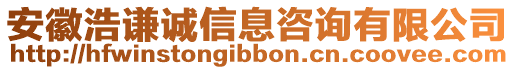 安徽浩謙誠信息咨詢有限公司