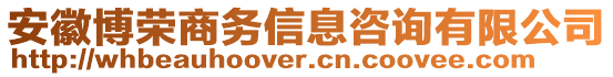 安徽博榮商務(wù)信息咨詢有限公司