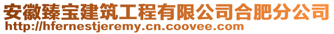 安徽臻寶建筑工程有限公司合肥分公司