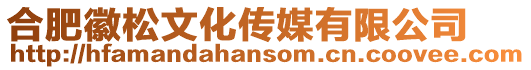 合肥徽松文化傳媒有限公司