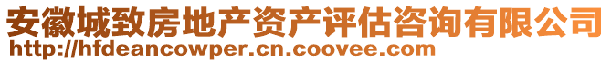 安徽城致房地產資產評估咨詢有限公司