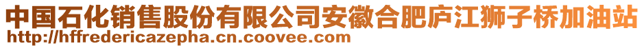 中國石化銷售股份有限公司安徽合肥廬江獅子橋加油站