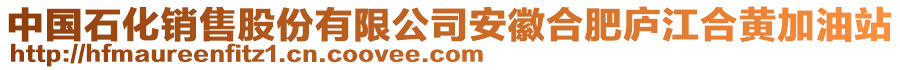 中國(guó)石化銷(xiāo)售股份有限公司安徽合肥廬江合黃加油站