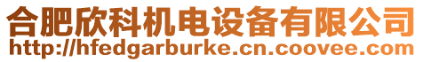 合肥欣科機電設備有限公司