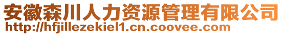 安徽森川人力資源管理有限公司