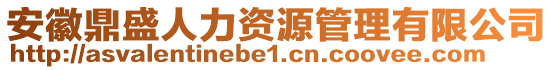 安徽鼎盛人力資源管理有限公司