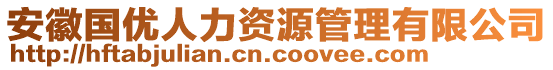 安徽國(guó)優(yōu)人力資源管理有限公司