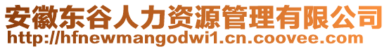 安徽東谷人力資源管理有限公司