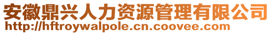 安徽鼎興人力資源管理有限公司