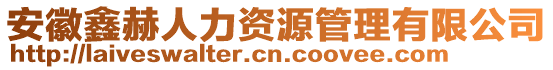 安徽鑫赫人力資源管理有限公司