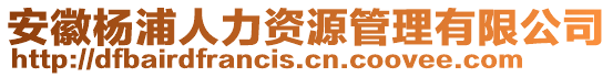 安徽楊浦人力資源管理有限公司