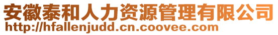 安徽泰和人力資源管理有限公司