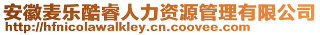 安徽麥樂酷睿人力資源管理有限公司