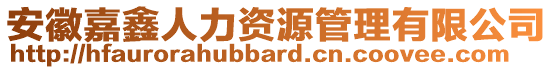 安徽嘉鑫人力資源管理有限公司