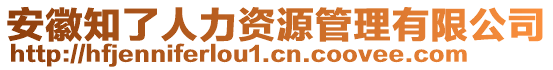 安徽知了人力資源管理有限公司