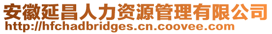 安徽延昌人力資源管理有限公司