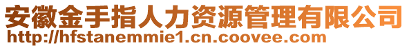 安徽金手指人力資源管理有限公司